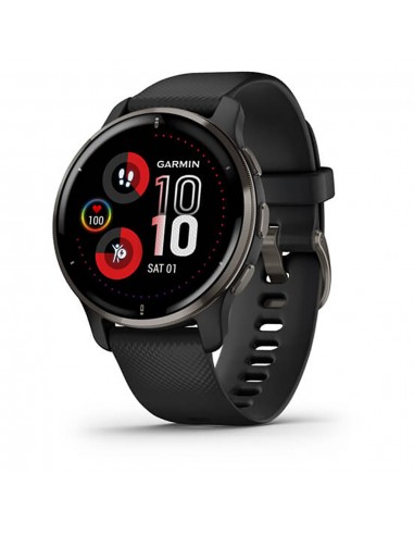 MONTRE CONNECTEE GARMIN Venu® 2 Plus 010-02496-11 Livraison rapide