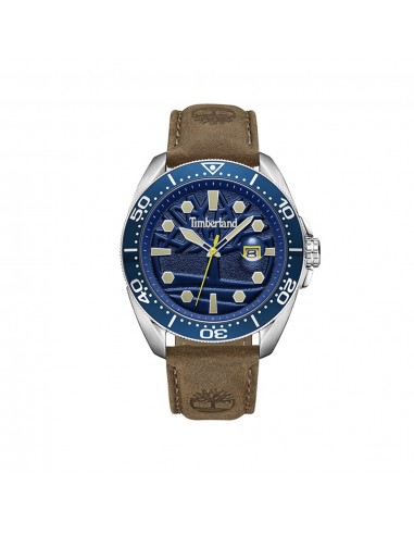 MONTRE TIMBERLAND CARRIGAN TDWGB2230604 À commander