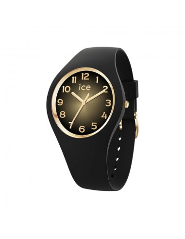 MONTRE ICE GLAM SECRET la livraison gratuite