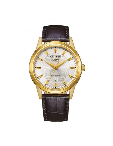 MONTRE CITIZEN CLASSIC ELEGANT AW0102-13AE acheter