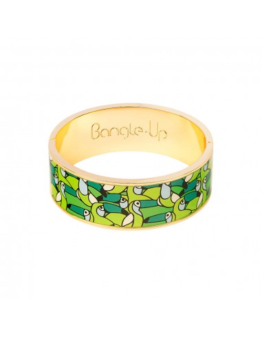 BANGLE-UP BRACELET JANGALA une grave pollution 